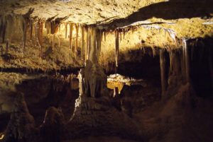 naracoorte caves national park