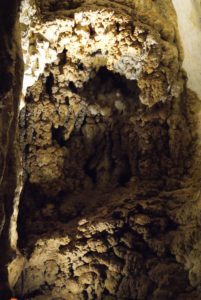 naracoorte wet cave