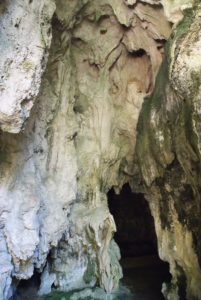 naracoorte wet cave