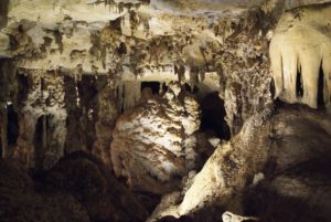 naracoorte blanche cave