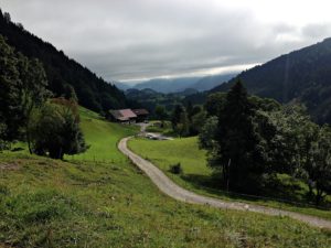 Salzburg Wandern Almenweg