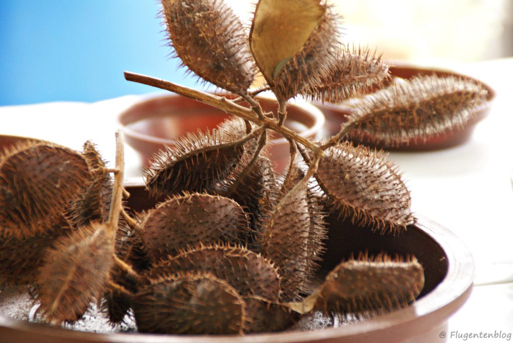 FlugenteOnTour Mauritius Île aux Aigrettes Zurück zur