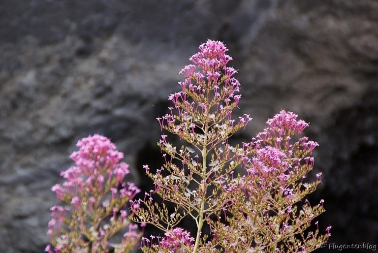Ätna Europas höchster Vulkan und das Highlight auf Sizilien