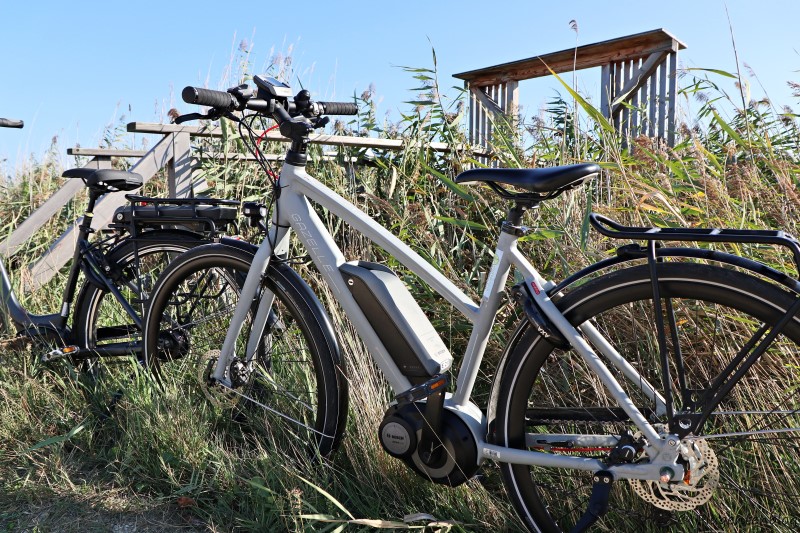 Neusiedler See Radfahren