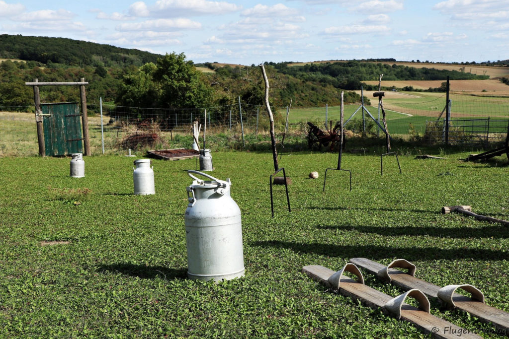 Weinviertel Ausflugsziele Alpaka Freizeitalm Bauernolympiade