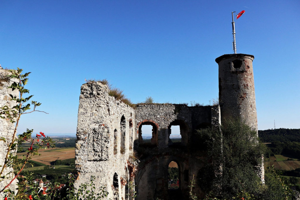 Weinviertel sightseeing Ruine Falkenstein