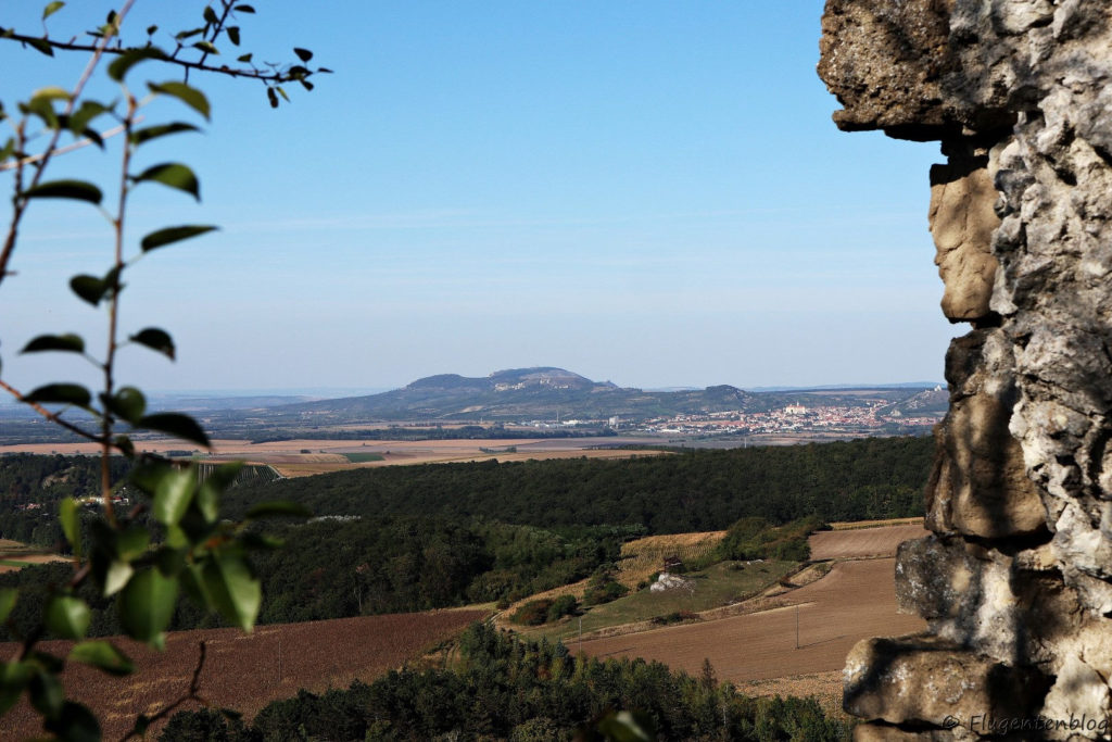 Weinviertel erleben Ruine Falkenstein