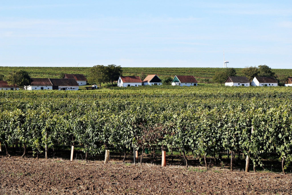 Ausflugsziele Weinviertel Kellergasse Wetzelsdorf