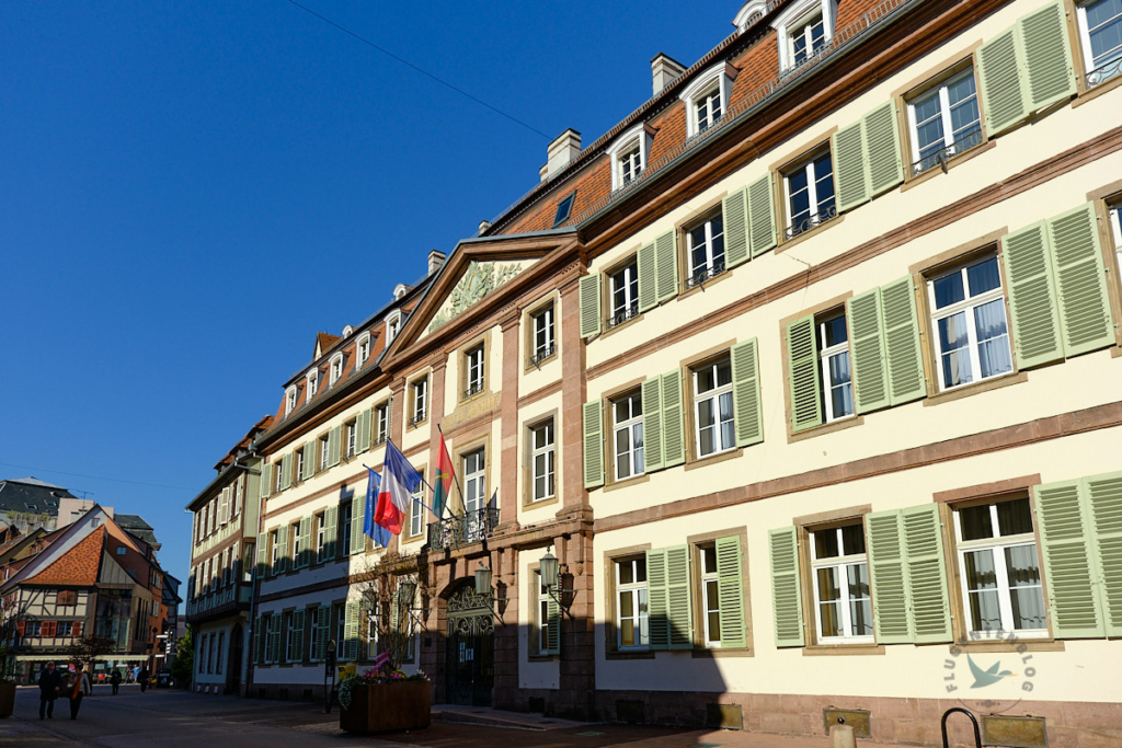 Rathaus von Colmar