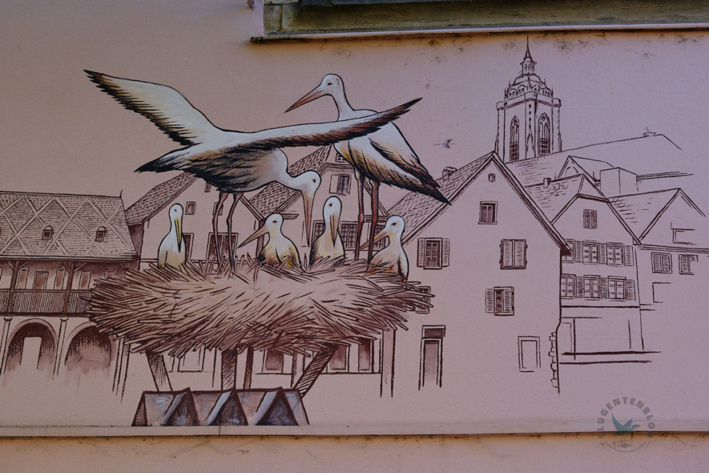 Bild von Colmar mit einem Storchennest auf einer Hausmauer