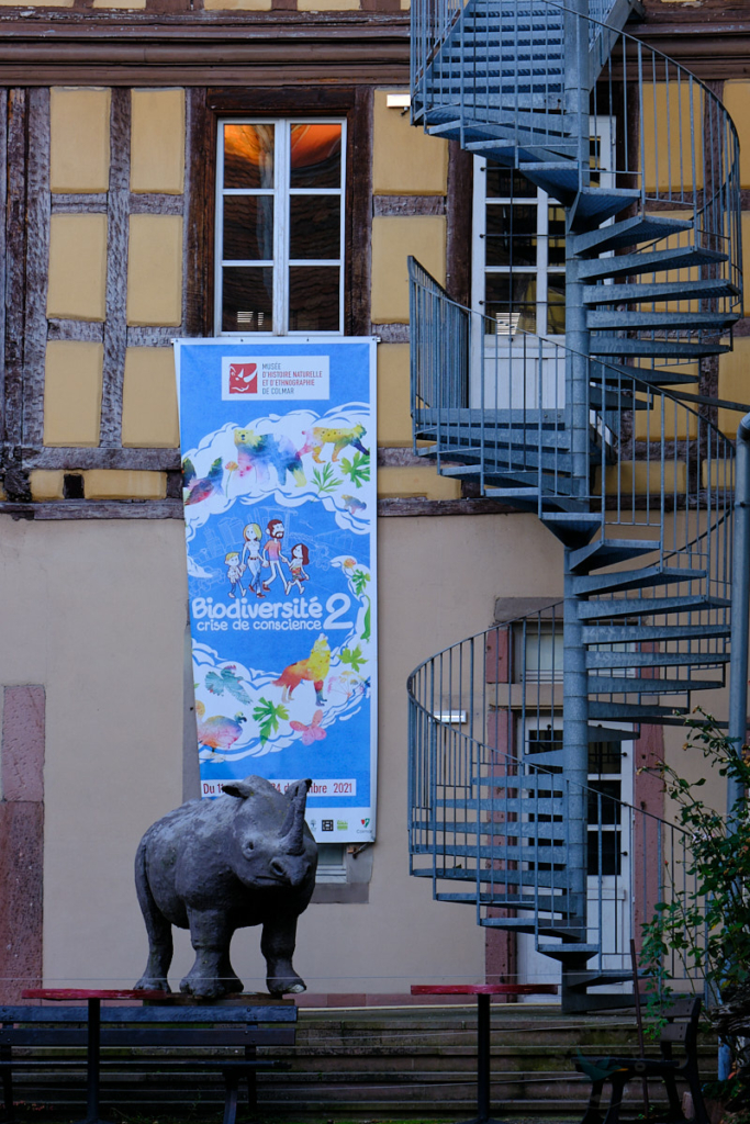 Nashorn-Statue beim Eingang zum Naturhistorischen und Ethnographischem Museum von Colmar