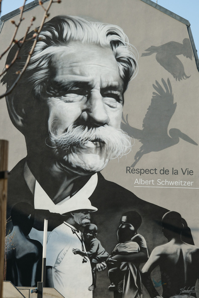 Schwarz-Weiß-Portrait von Albert Schweitzer in Mulhouse