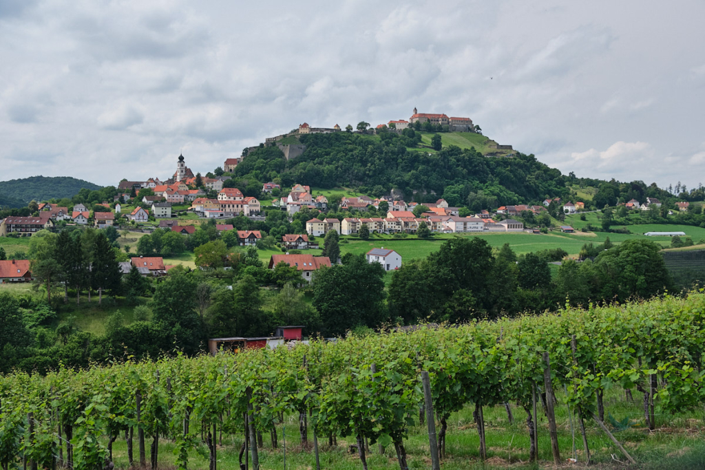 riegersburg-burganlage-weinanbau